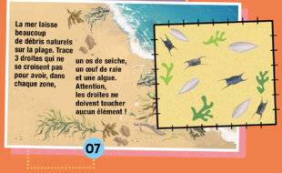 Science & Vie Junior 431 Laisse de mer