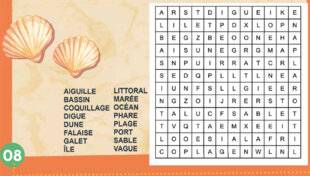 Science & Vie Junior 431 Les pieds dans le sable