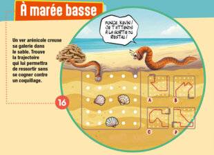 Science & Vie Junior 431 À marée basse