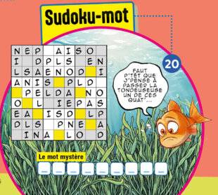 Science & Vie Junior 431 Sudoku-mot