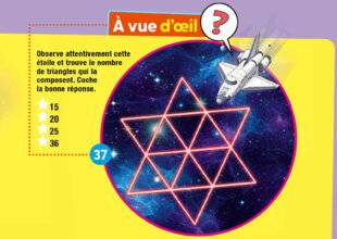 Science & Vie Junior 431 À vue d'œil ?