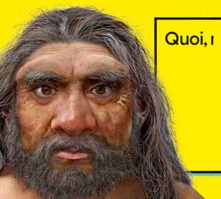 Science & Vie Junior 432 Quoi, ma gueule ?