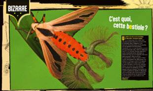 Science & Vie Junior 432 C'est quoi, cette bestiole ?