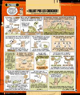 Science & Vie Junior 432 FALLAIT PAS LES CHERCHER !