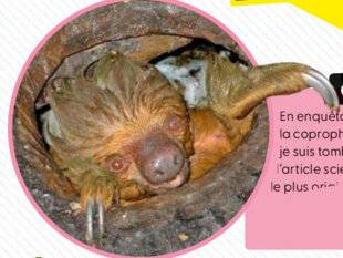 Science & Vie Junior 432 On touche le fond