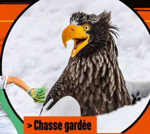 Science & Vie Junior 433 Chasse gardée