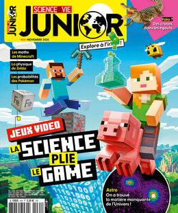 Science & Vie Junior 434 N° 434 - NOVEMBRE 2025