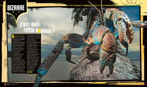 Science & Vie Junior 434 C'est quoi, cette bestiole ?