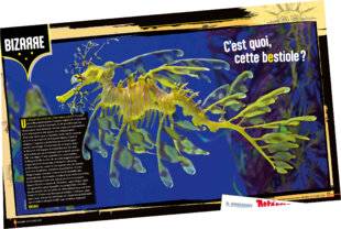 Science & Vie Junior 434 Oups !