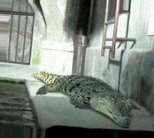 Science & Vie Junior 434 Ça reste entre nous