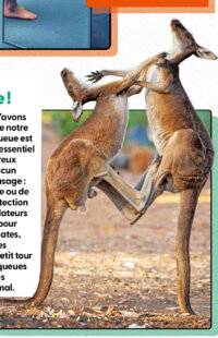 Science & Vie Junior 434 Queue je t'aime !