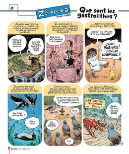 Science & Vie Junior 435 Que sont les gastrolithes ?