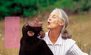 Science & Vie Junior 435 Adieu, chère Jane