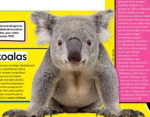 Science & Vie Junior 435 Un espoir pour les koalas