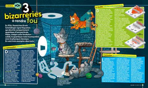 Science & Vie Junior 435 3 bizarrerie à rendre fou