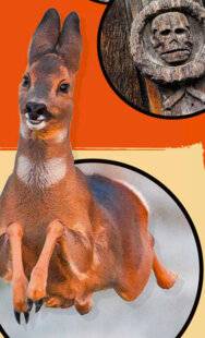 Science & Vie Junior 435 Il faon les airs !