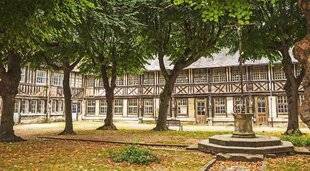 Science & Vie Junior 435 L'aître Saint-Maclou