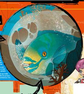 Science & Vie Junior 435 Quiz passe t-il, i ci ?