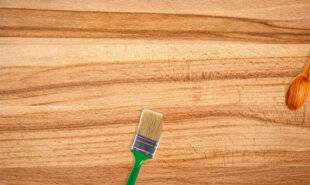 Science & Vie Junior 435 La photo sur épinards