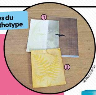 Science & Vie Junior 435 Rencontres du troisième anthotype