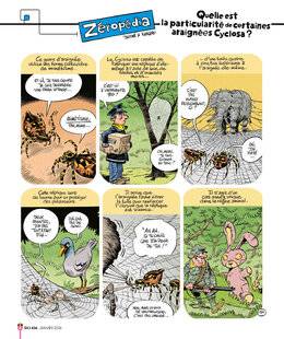 Science & Vie Junior 436 Quelle est la particularité de certaines araignées Cyclosa ?