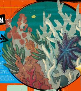 Science & Vie Junior 436 Quiz passe t-il, ici ?