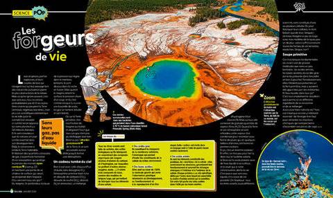 Science & Vie Junior 436 Les forgeurs de vie