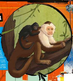 Science & Vie Junior 437 Quiz passe t-il, ici ?