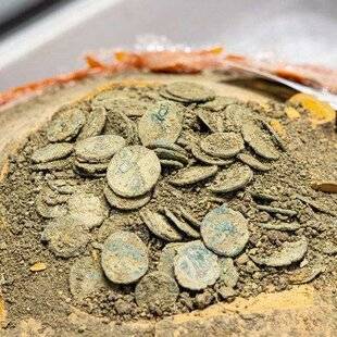 Science & Vie Junior 437 Texto