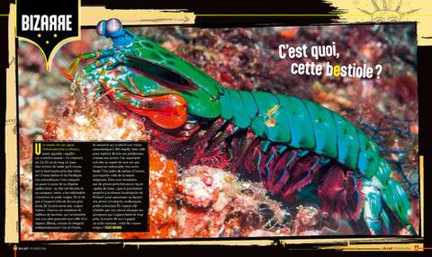 Science & Vie Junior 437 C'est quoi, cette bestiole ?