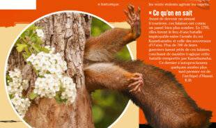 Science & Vie Junior 437 Posture à la noix