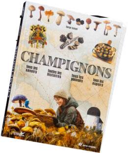 Science & Vie Junior 437 Champignons