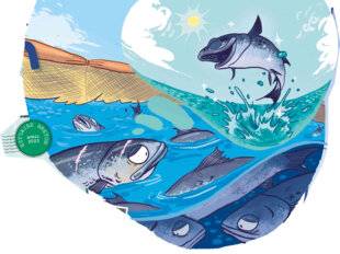 Science & Vie Junior 437 Lettres à un saumon en prison