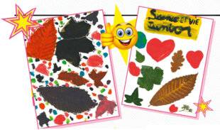 Science & Vie Junior 437 Défi relevé !