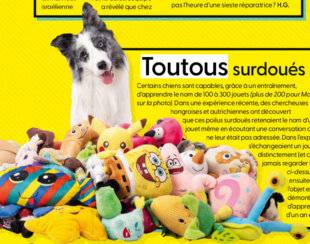 Science & Vie Junior 438 Toutoussurdoués