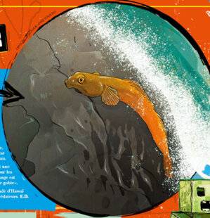 Science & Vie Junior 438 Quiz passe-t-il, ici ?