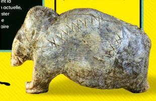 Science & Vie Junior 440 Mammouthsigné