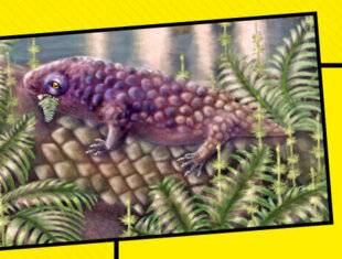 Science & Vie Junior 440 Première mise au vert