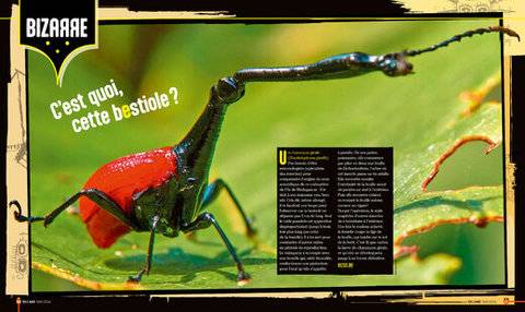 Science & Vie Junior 440 C'est quoi cette bestiole ?