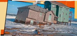 Science & Vie Junior 440 Bouillon immobilier