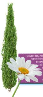 Science & Vie Junior 441 Une saison en enfer