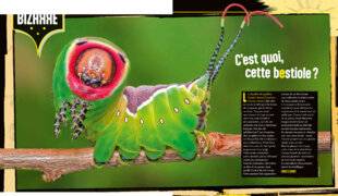 Science & Vie Junior 441 C'est quoi, cette bestiole ?