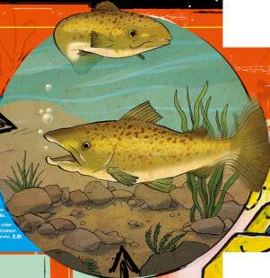 Science & Vie Junior 441 Quiz passe-t-il, ici ?