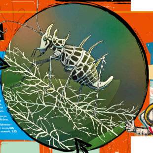 Science & Vie Junior 442 Quiz passe t-il, ici ?