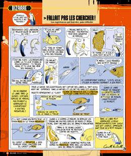 Science & Vie Junior 442 FALLAIT PAS LES CHERCHER !
