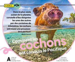 Science & Vie Junior 443 Comment les cochons ont conquis le Pacifique