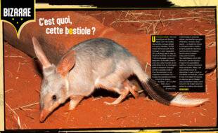 Science & Vie Junior 443 C'est quoi, cette bestiole ?
