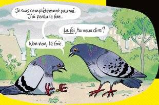 Science & Vie Junior 443 Foi(e) de pigeon !