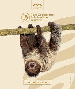 Science & Vie Junior 443 MULHOUSE ALSACE AGGLOMÉRATION