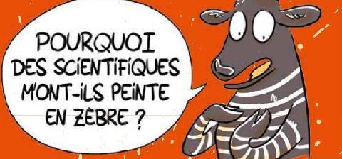 Science & Vie Junior 444 > FALLAIT PAS LES CHERCHER !